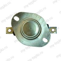 Термекс Датчик температурный (термостат) (SpT050179)