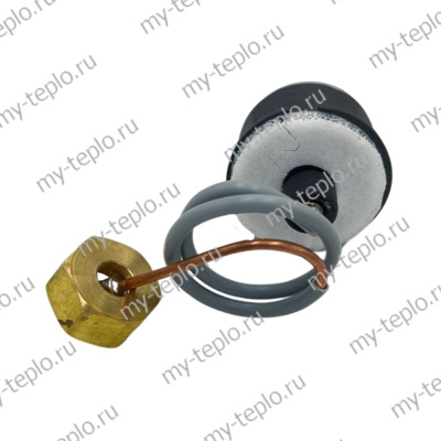 Манометр для котлов Baxi, аналог 7732049 (CPG28-B-1)